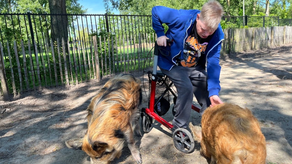 Verstandelijk gehandicapten verzorgen dieren in De Driespan, 'maken ouderen blij’