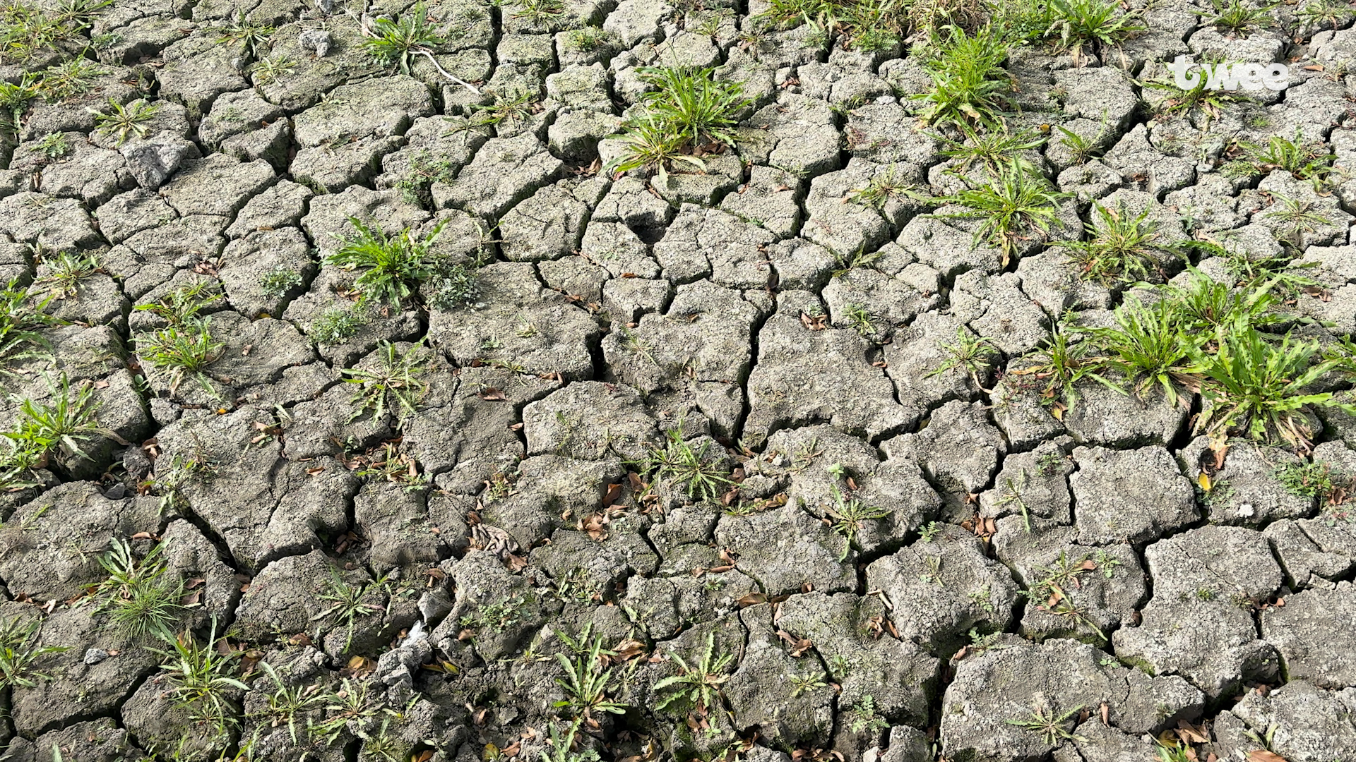 20251029_Drogebroek.00_02_18_09.Still002.jpg