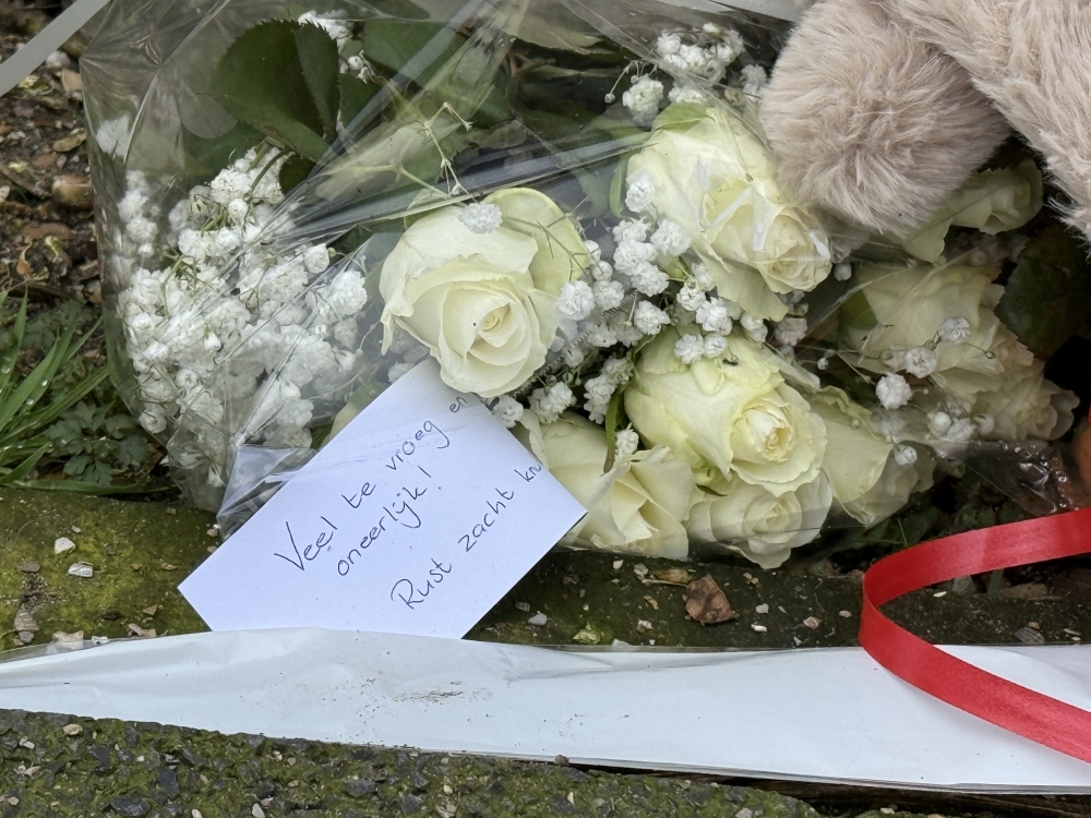 7a2f495a8925ed4e26c22c63650738ee XL