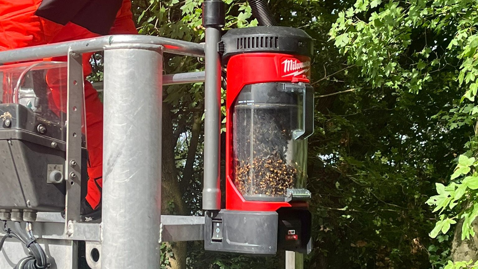 De_hoornaars_die_met_de_stofzuiger_zijn_opgezogen_om_het_nest_heen.jpeg