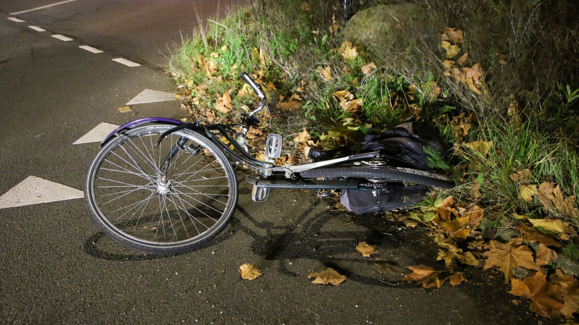 Fiets_1.jpg