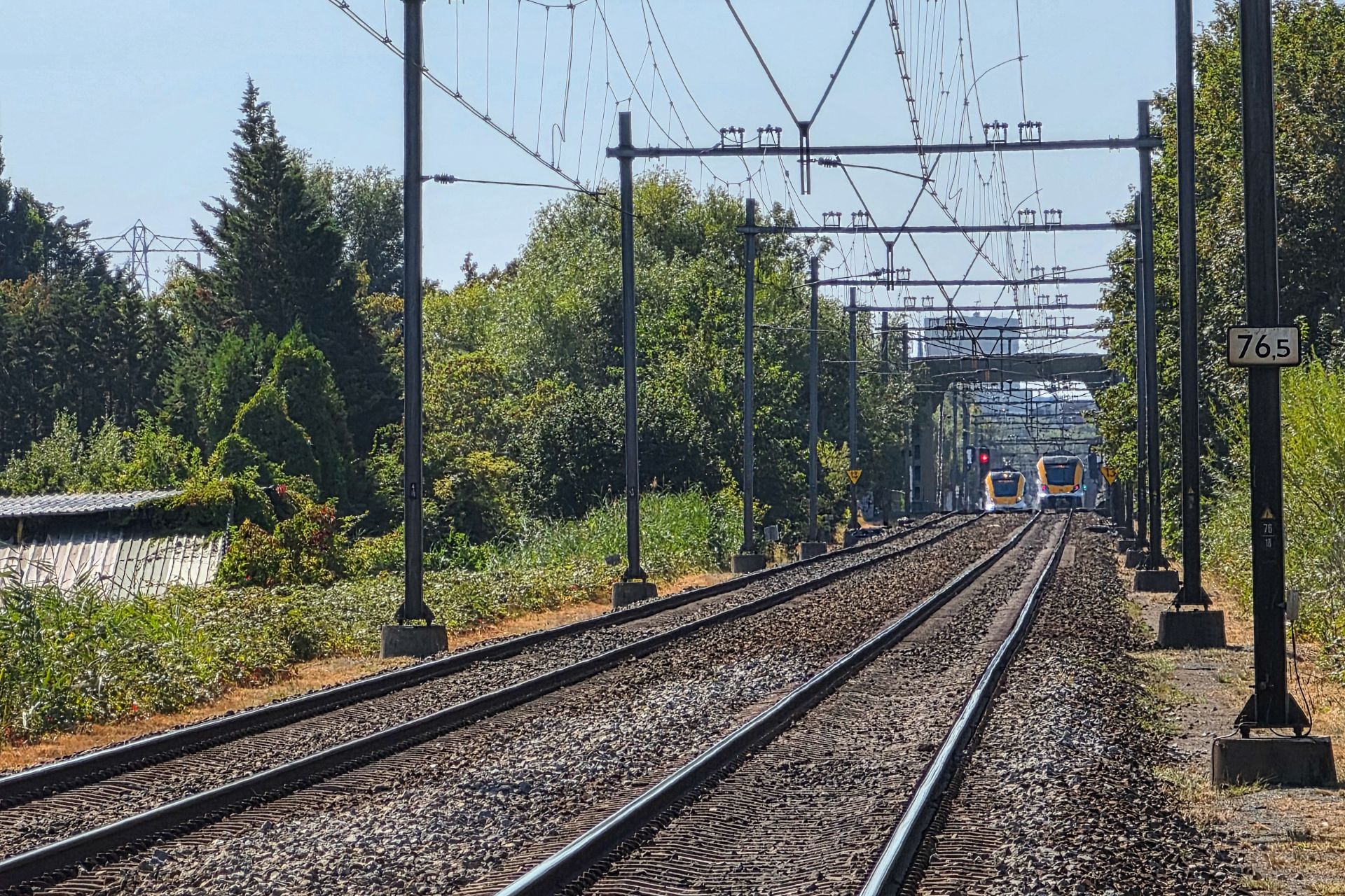 Koeopspoor02.jpg