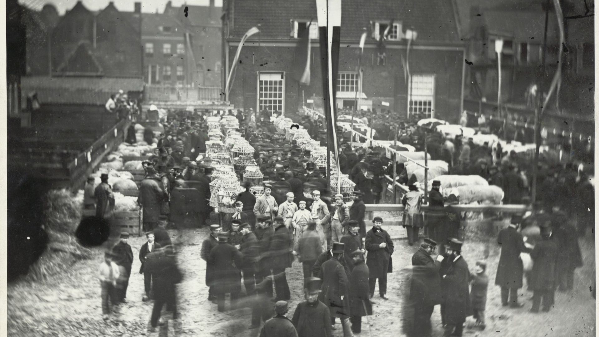 Oude_foto_SDAM2.jpg