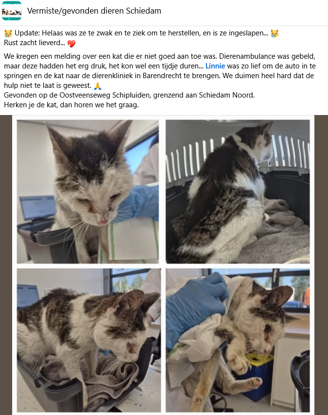 Screenshot_2025-07-15_at_13-37-13_20_Vermiste_gevonden_dieren_Schiedam_Groepen_Facebook.png