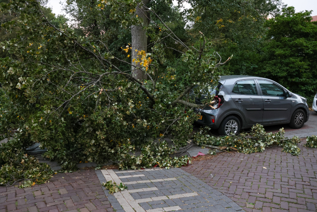 foto2 bghhbvfgnyjhth