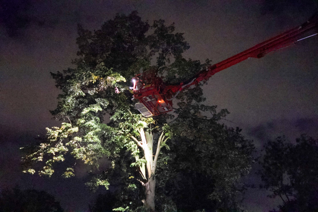 foto9grtdhshgcmgxfnhgjhmx