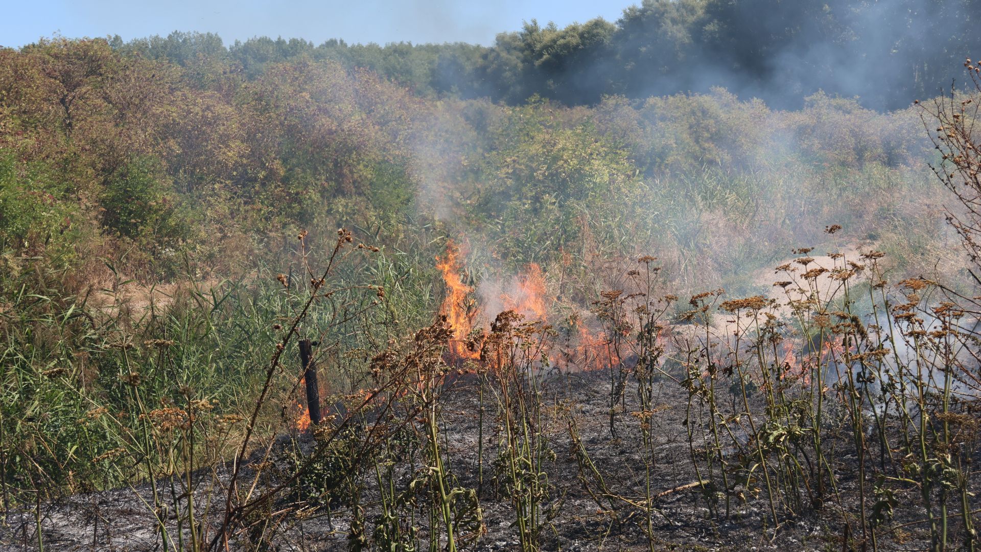 grasbrand_broekpolder2.jpg