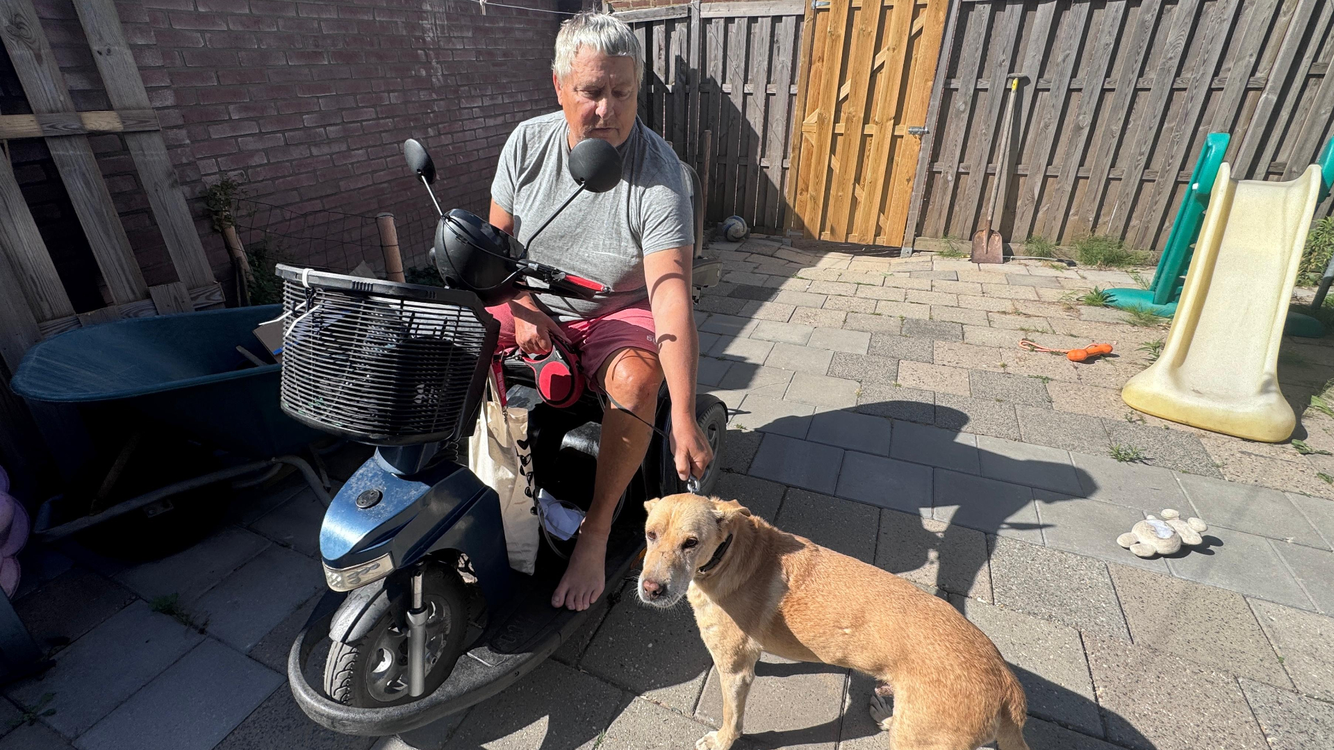 harryhond1.jpeg