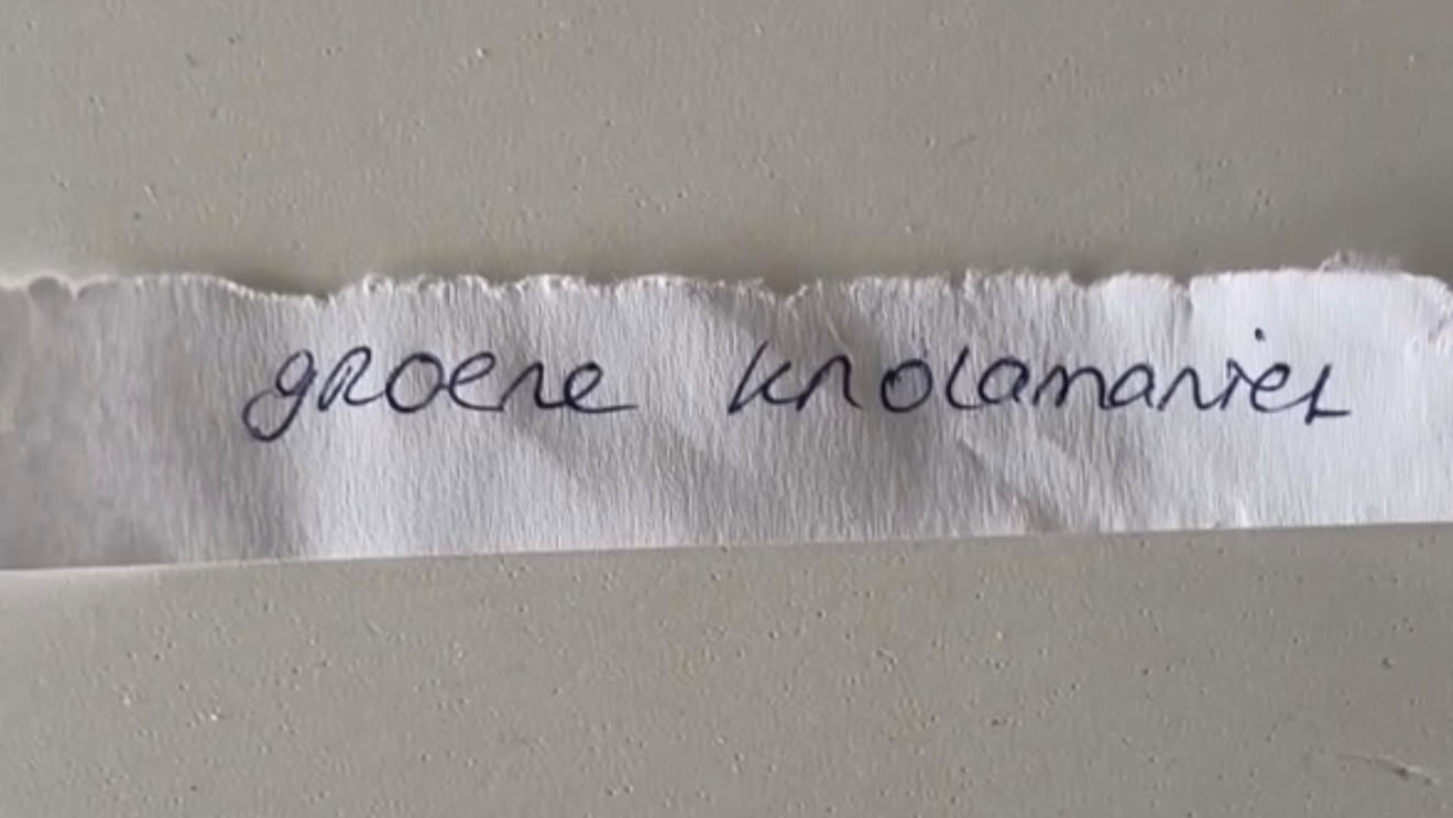 knol.jpg