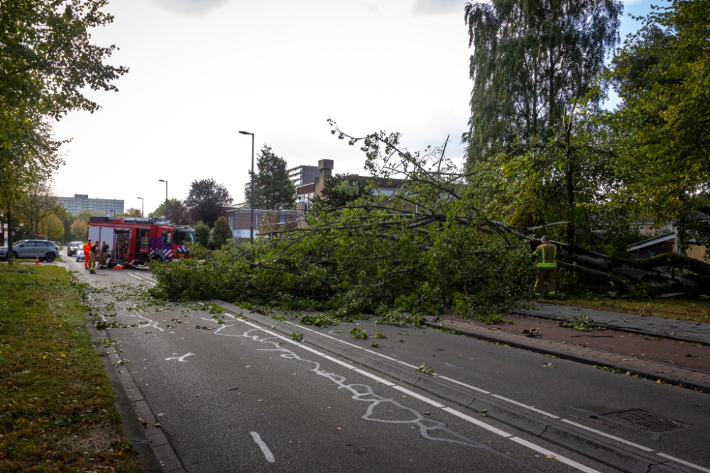 Humberto blaast boom omver bij kinderopvang in Vlaardingen