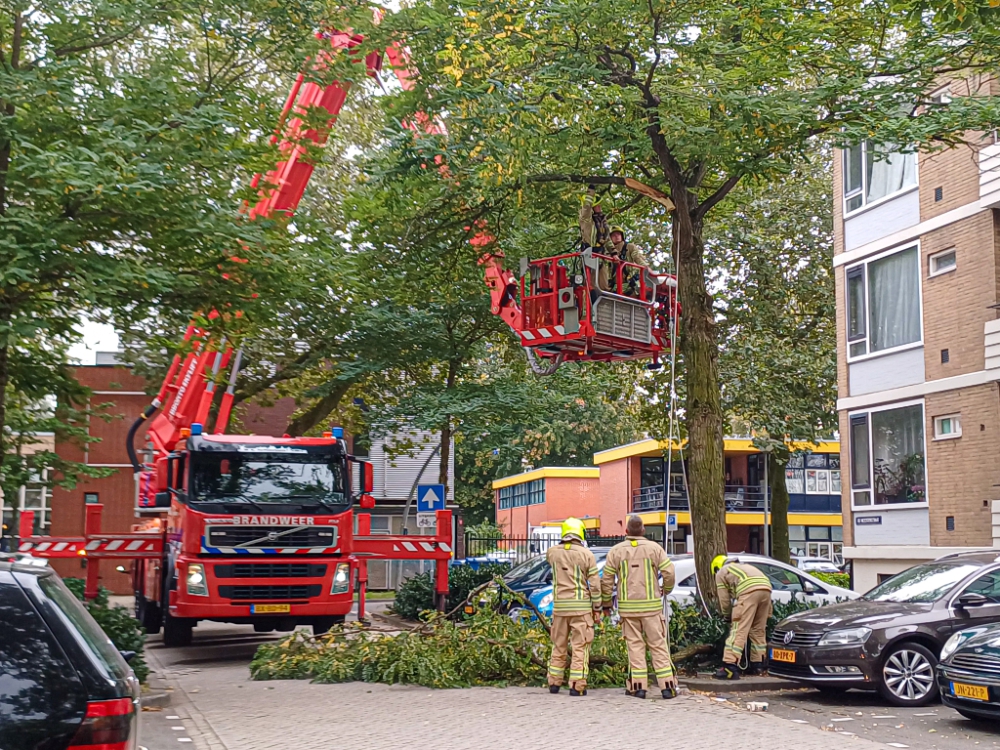 Brandweer verwijdert loshangende tak in De Meesterstraat