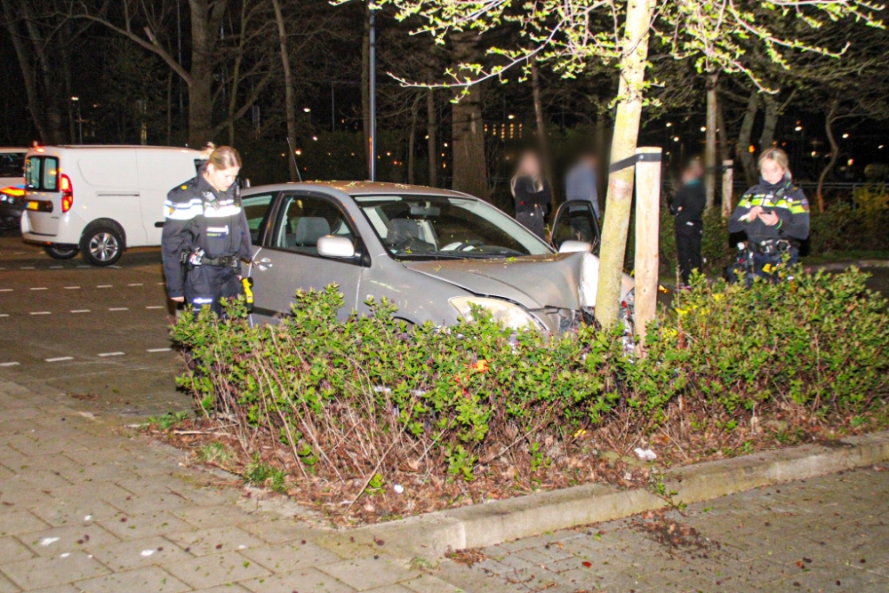 Auto botst frontaal op boom