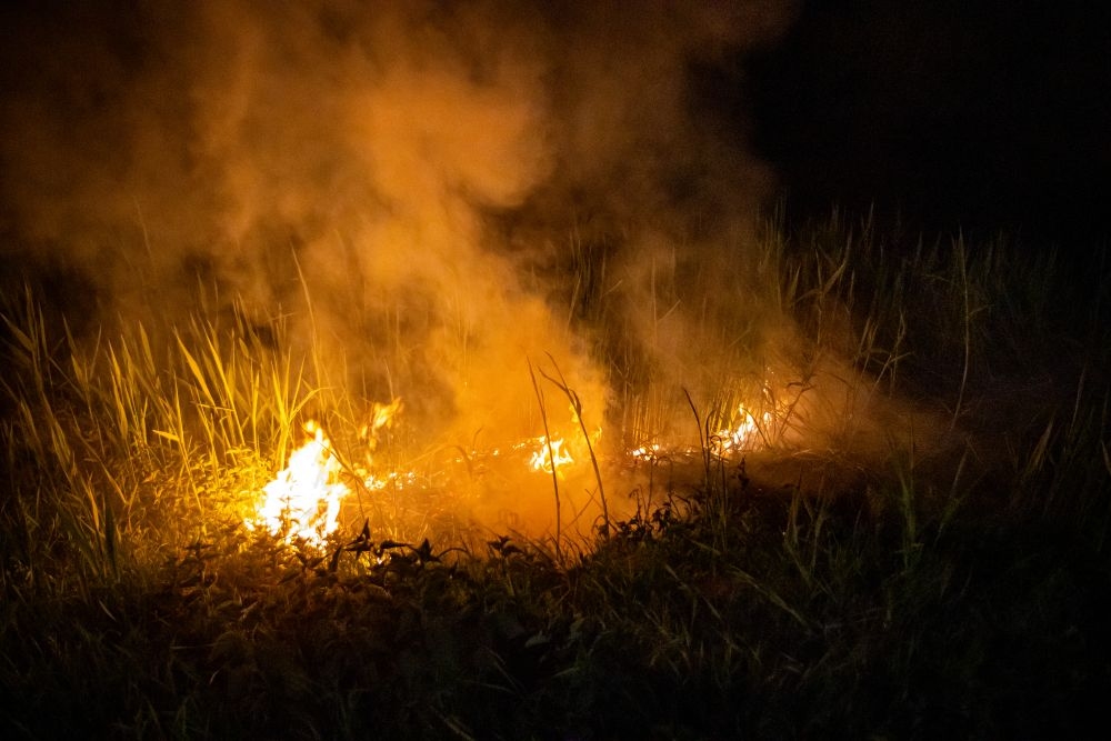 Flinke rookontwikkeling bij bermbrand op de grens van Vlaaerdingen en Schiedam