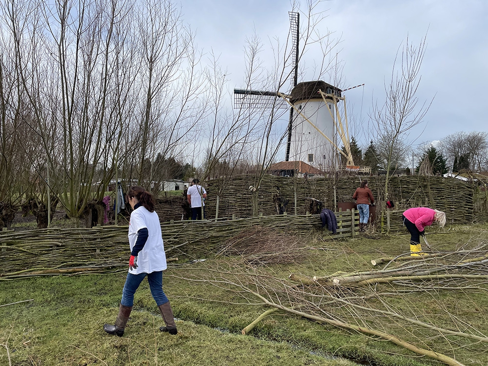 Veel vrijwilligers aan de slag bij de Babbersmolen tijdens NLdoet