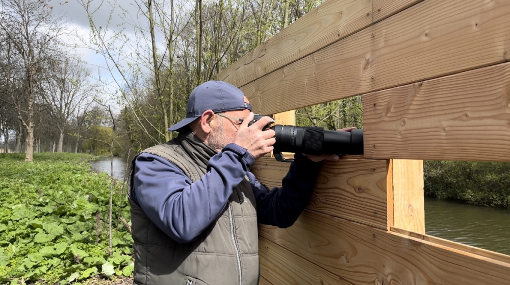 Bijzondere vogelspottersplek langs de Poldervaart:”Soms sta je hier met veel mensen te fotograferen”