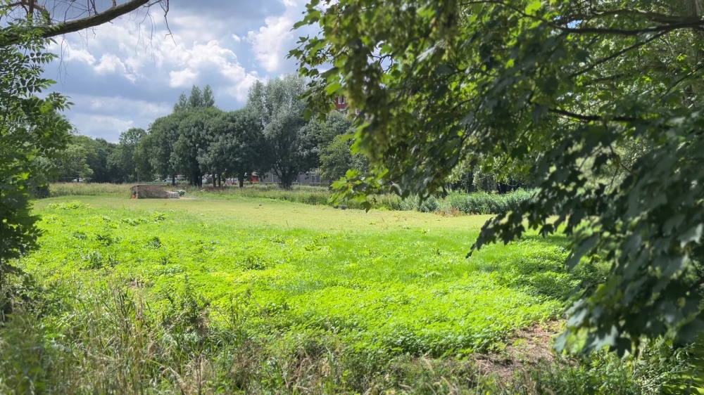 Einde aan jarenlange discussie, gemeente Schiedam mag woningen bouwen langs Joppelaan