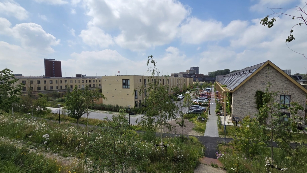 Parkeren, onkruid en donkere straten: wat gaat er mis in Vijfsluizen?