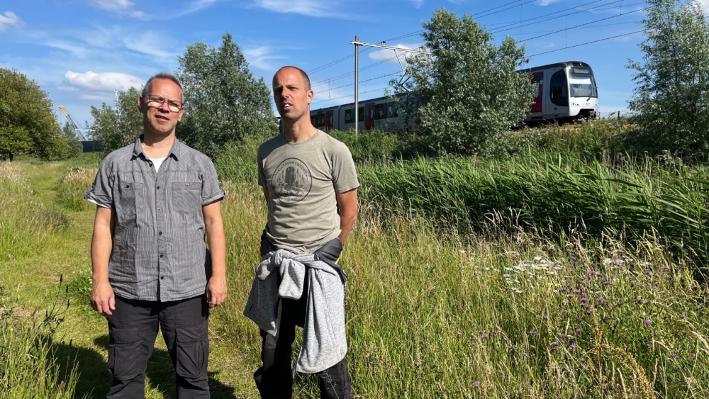 ‘Groene Jeroenen’ toveren saaie berm langs bedrijventerrein om tot groene oase