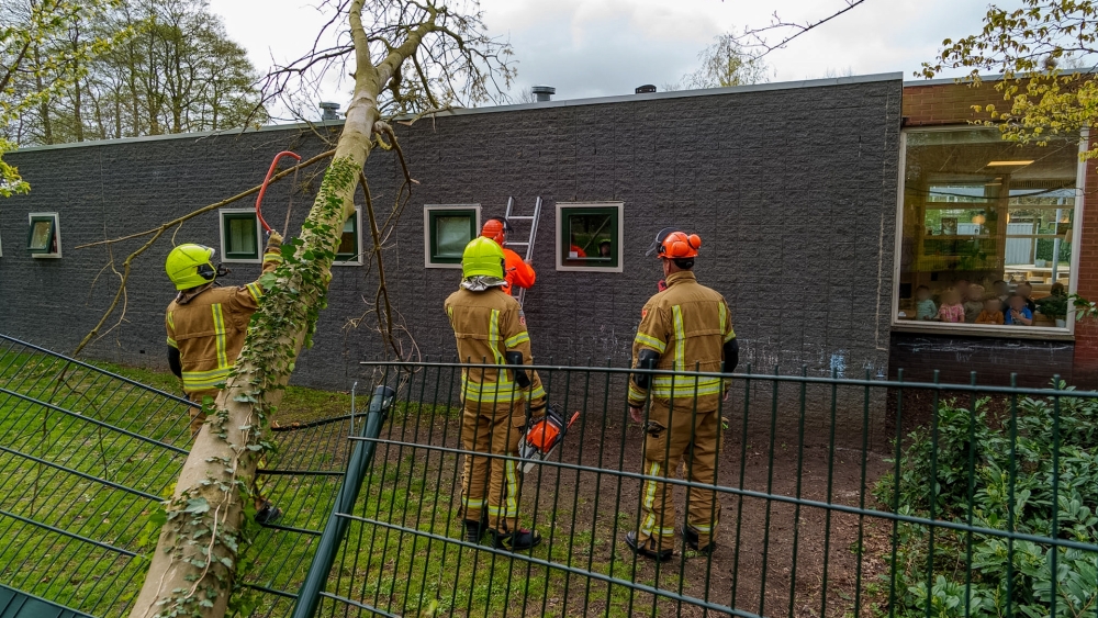 Boom valt op dak van kinderdagverblijf aan Hofsingel in Vlaardingen