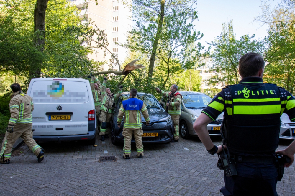 Grote tak valt op auto’s