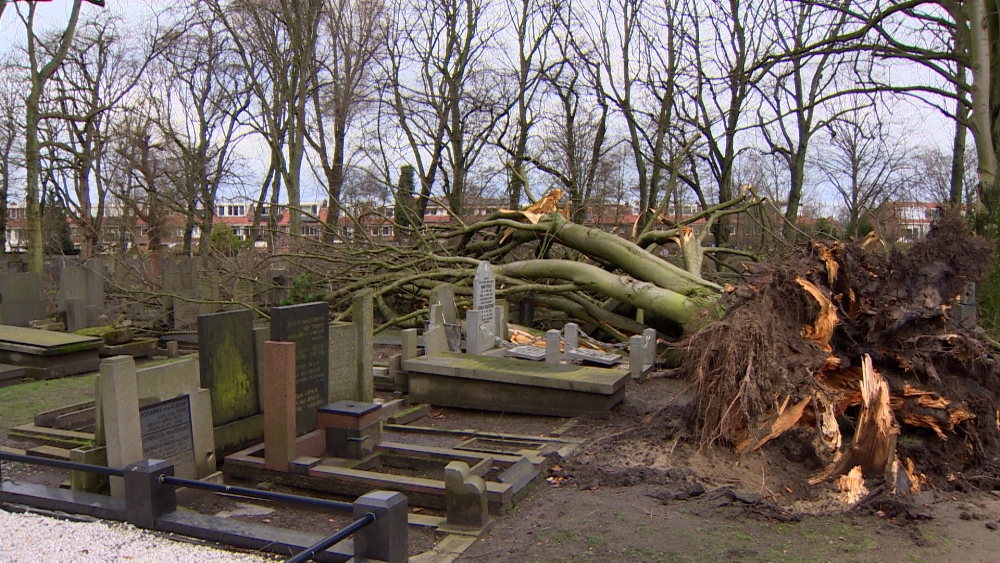 Storm Louis beschadigt tientallen monumentale grafstenen in Vlaardingen