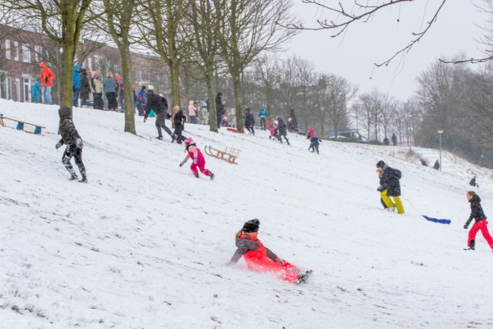 Sneeuwpret op Vlaardingerdijk