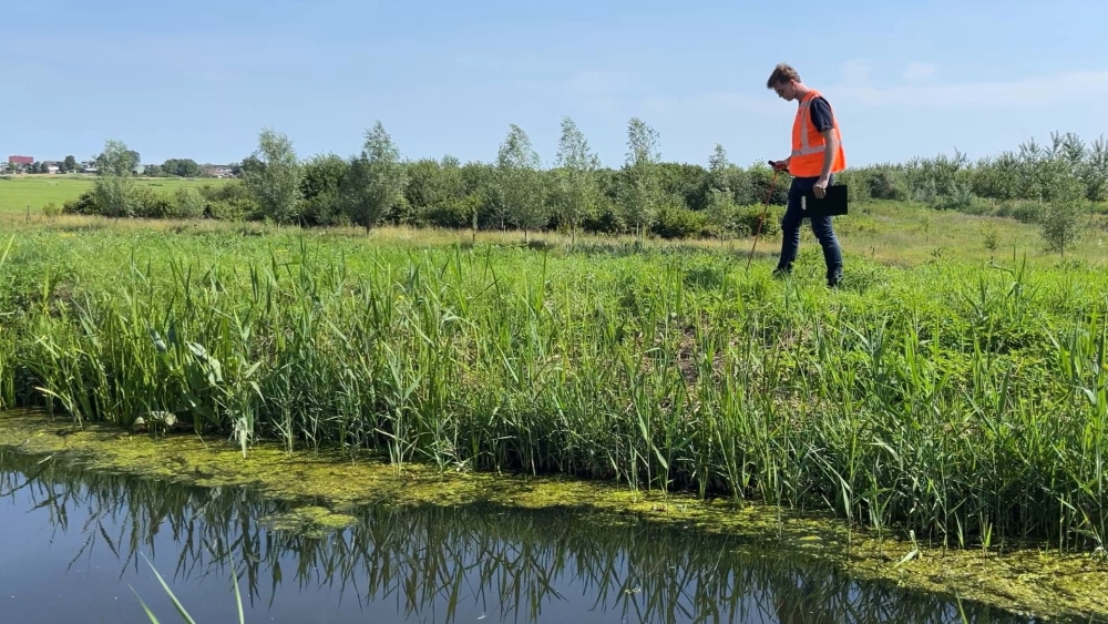 Dijkinspectie van Delfland