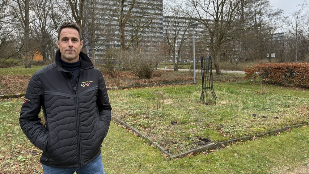 Hoofdstedenbuurt verdeeld over jongerenwoningen tussen het groen