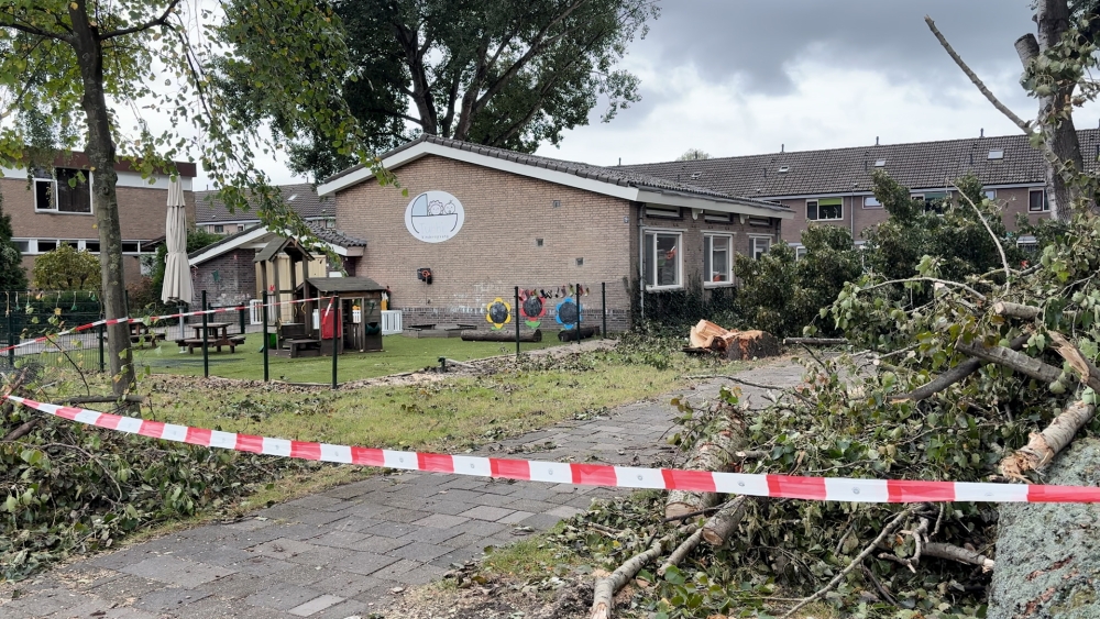 Buurtbewoners bij Korhoenlaan opgelucht na kap van gevaarlijke bomen