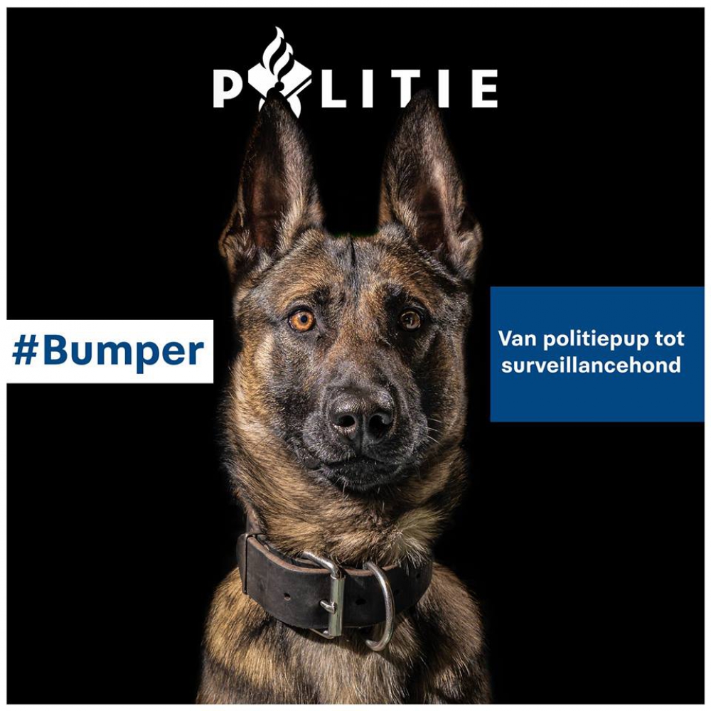 Petitie voor behoud politiehond Bumper op social media