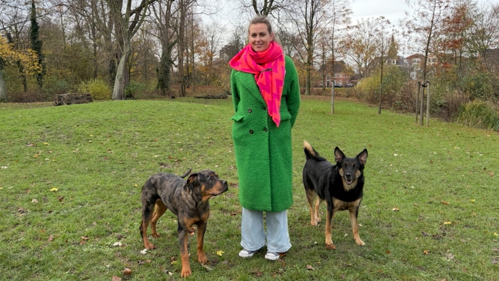 Opnieuw drugsresten in ontlasting: hond onwel na eten mensenpoep in ’t Hof