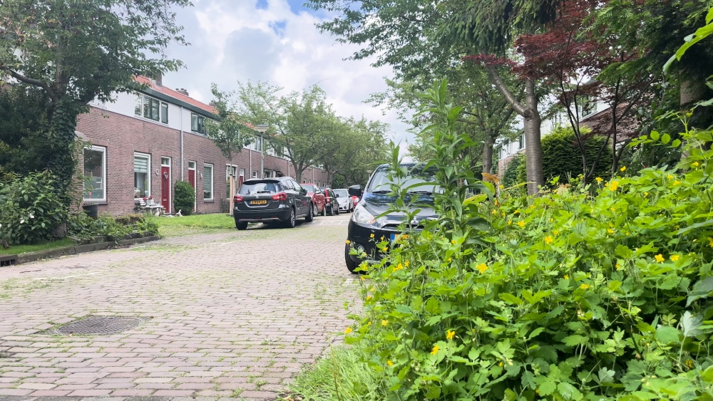 De Madoerastraat in Vlaardingen waar het meisje bij het pleeggezin woonde, foto: Twee