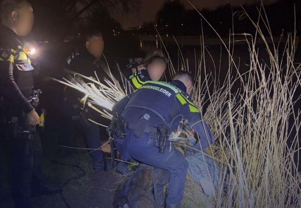 Diensthond 'Goofy' trekt autodief hardhandig uit de sloot