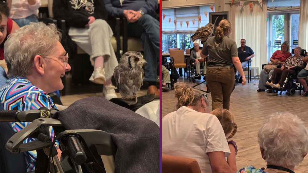 Roofvogels vliegen door zaal in het Zonnehuis: 'Was een geslaagde middag'