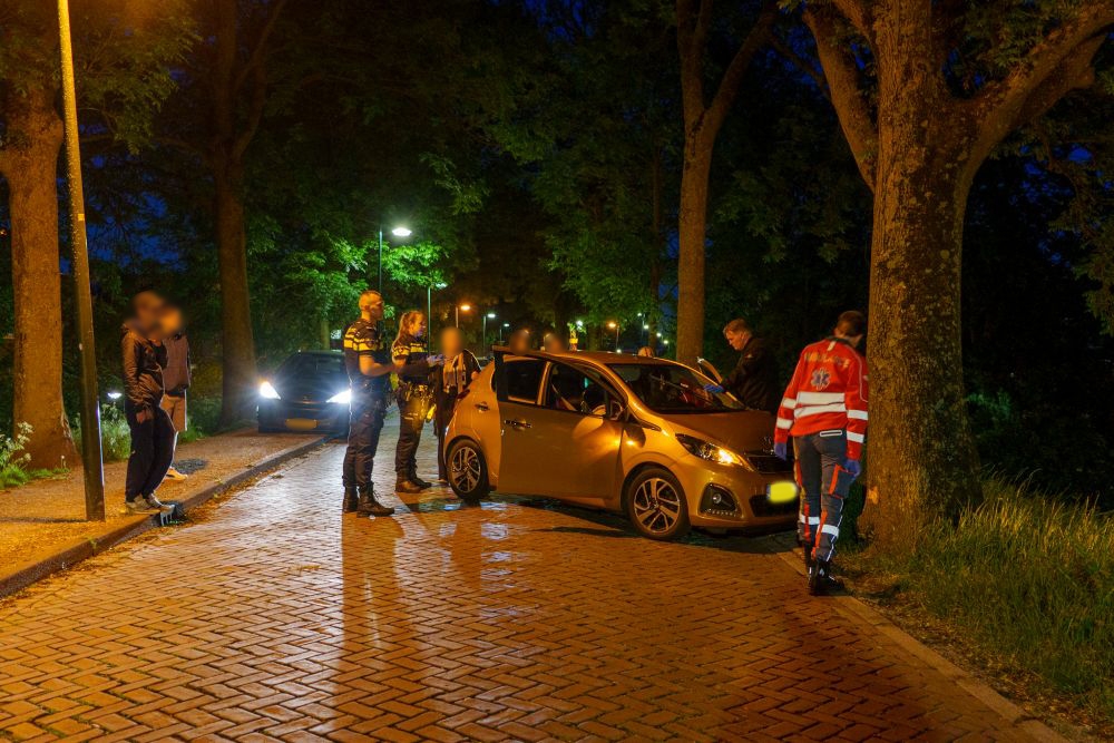 Auto met baby erin rijdt tegen boom op Maassluissedijk