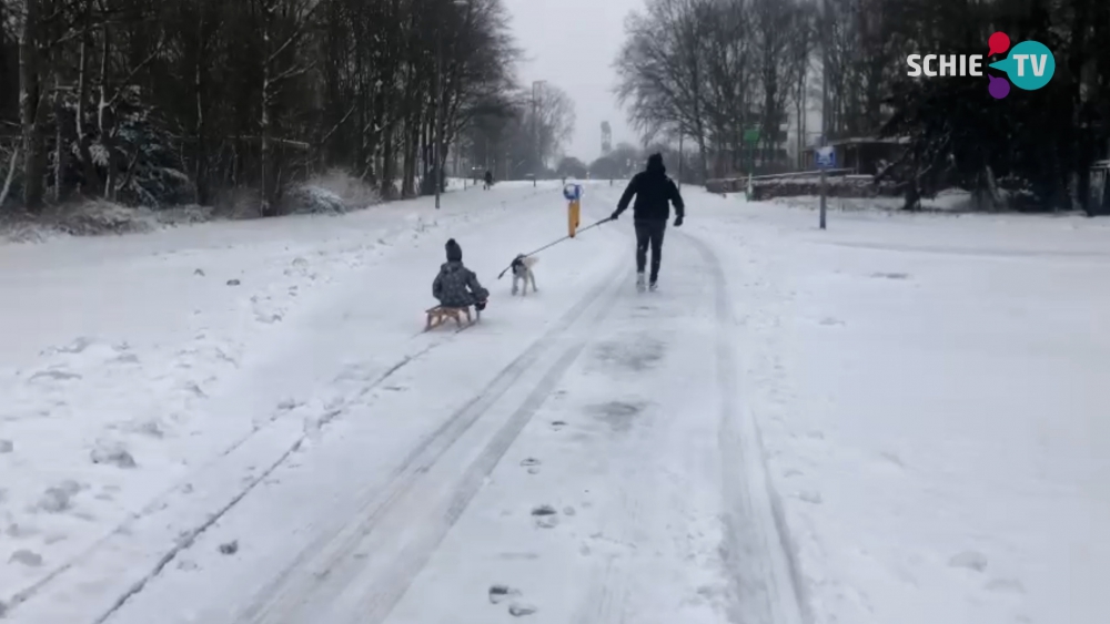 Flink pak sneeuw in Schiedam