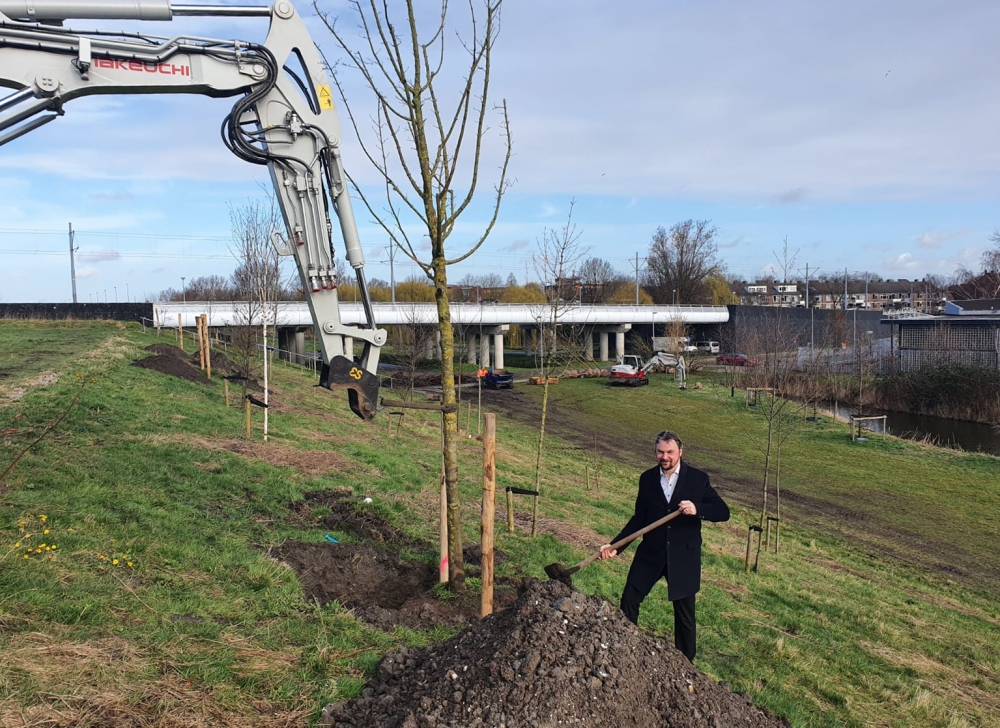 Nieuwe bomen voor park Willem-Alexander