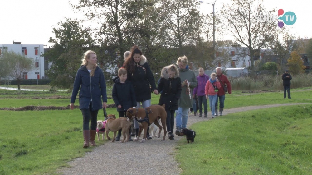 Hondenwandeling: frisse neus halen voor hond en baasje