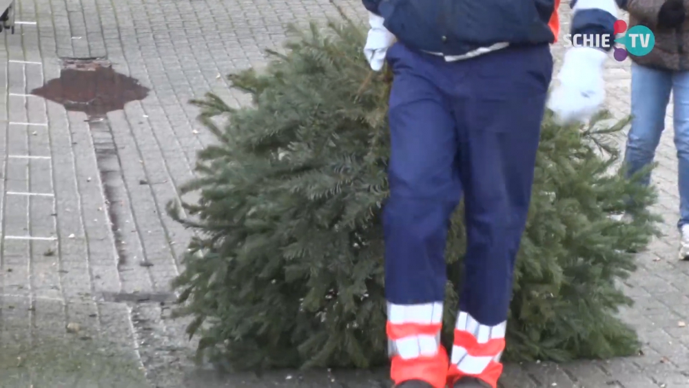 Meer dan 10.000 kerstbomen ingeleverd bij Irado