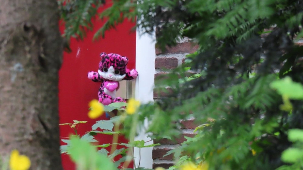 Biologische moeder Vlaardings pleegmeisje ‘uit het veld geslagen’ na uitspraak