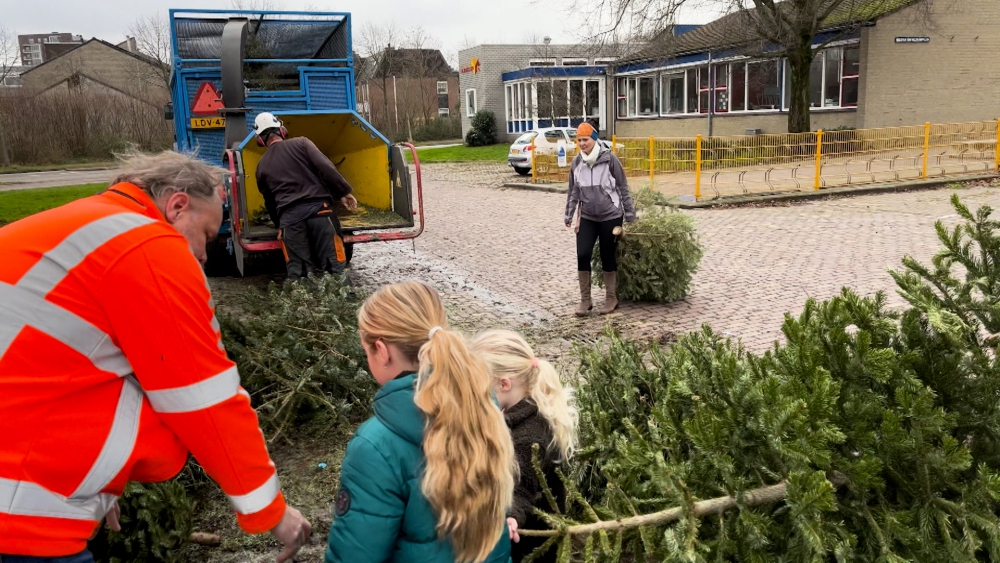 Vlaardingen gaat voorlopig door met kerstbomen inzamelactie: ‘We hebben gezien dat dit succesvol is’
