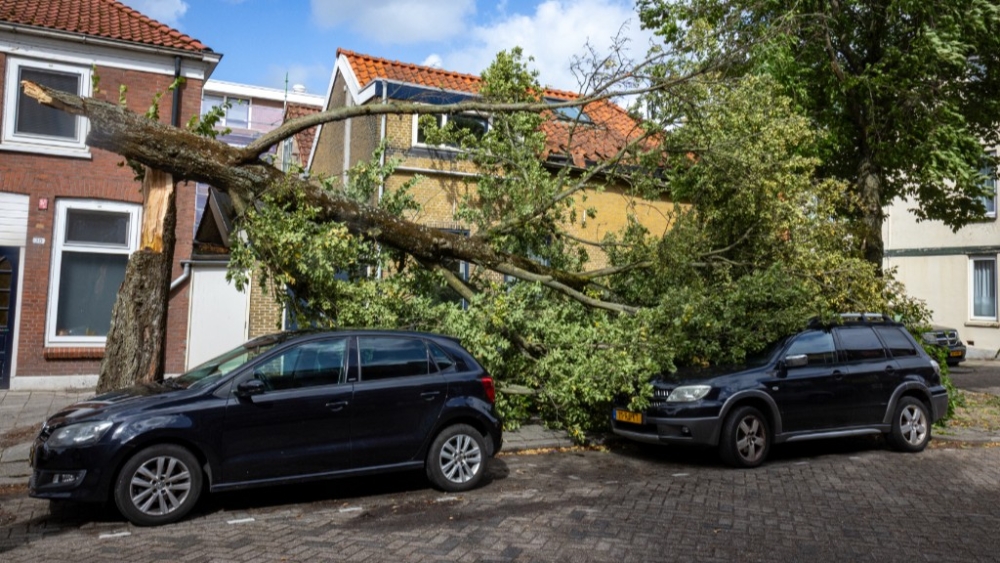 Harde windstoten veroorzaken stormschade in de regio