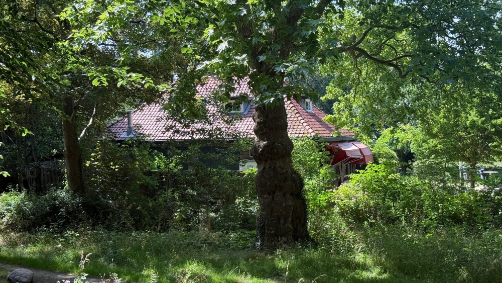 Zorgen om nachtvergunning voor Kofa in ’t Hof: ‘Een onzalig voornemen’