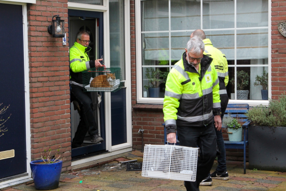 Ook &#039;blonde kat&#039; terecht na woningbrand Woudhoek