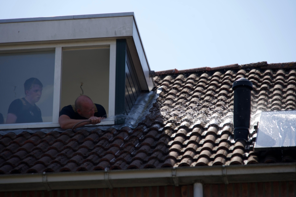 Dierenambulance bevrijdt kat onder zonnepanelen in Vlaardingse Babberspolder