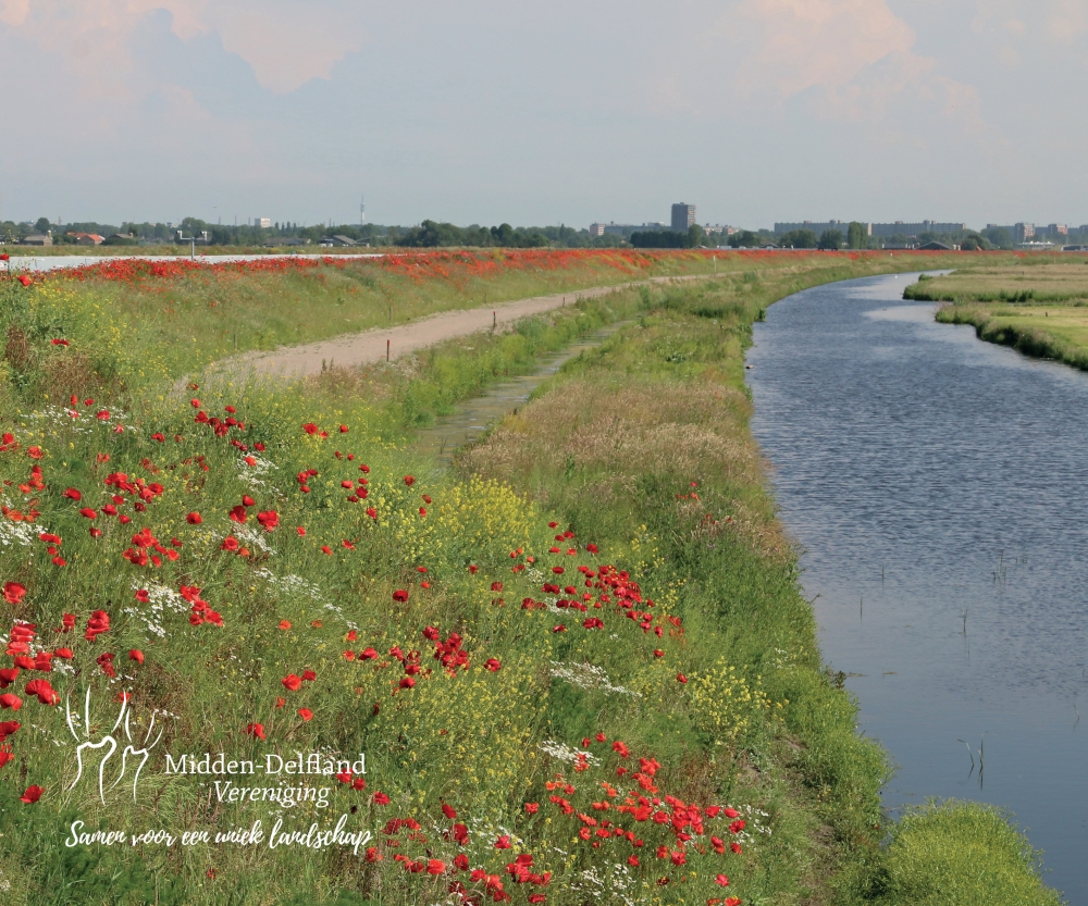 Congres: Een Groene Visie op Midden-Delfland