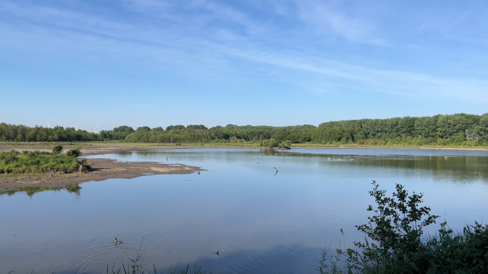 Is natuurgebied de Broekpolder in Vlaardingen gevoelig voor een natuurbrand?