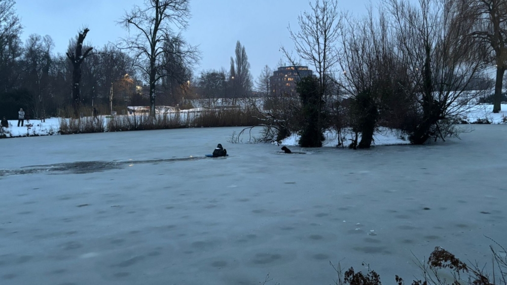 Brandweer redt hond die door ijs zakt in Vlaardings Oranjepark
