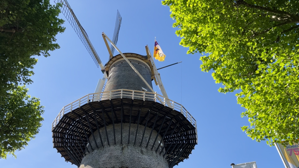 ‘Reuzen’ van Schiedam en Vlaardingen stelen de show op Nationale Molendag