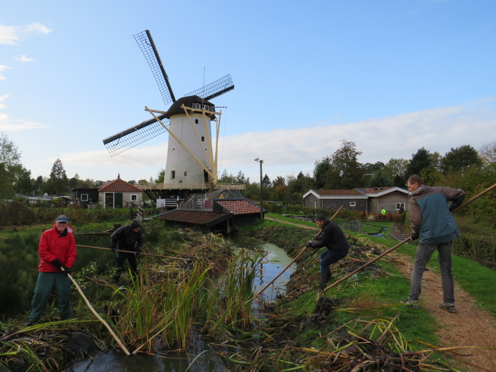 Vrijwilligers plegen groenonderhoud bij Babbersmolen tijdens Natuurwerkdag